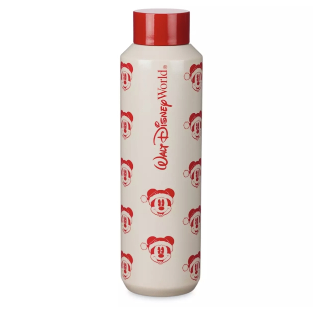 Starbucks Dianeyland Christmas Mickey water bottle 2022 20oz.